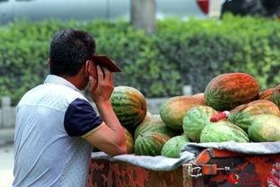 路边摊免费吃瓜,街头美食盛宴等你来尝  第3张